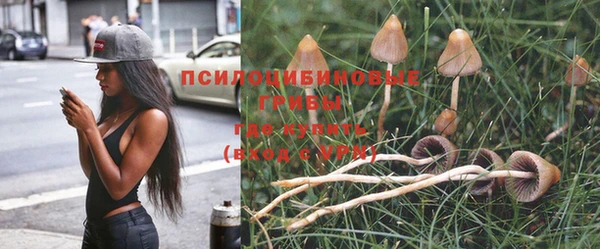ALPHA PVP Нязепетровск