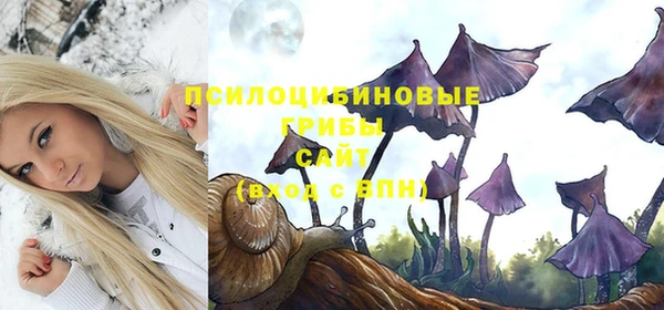 mix Осташков