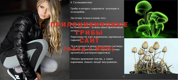 mix Осташков