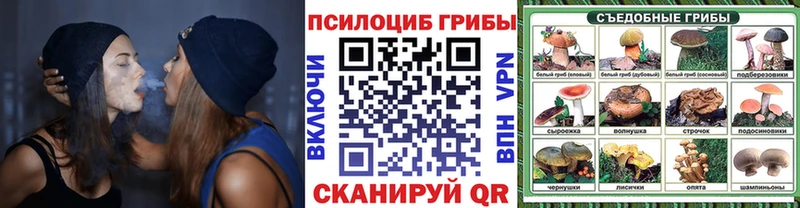 мега tor  Инза  Галлюциногенные грибы ЛСД 